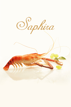 Saphira, reina de camarones
